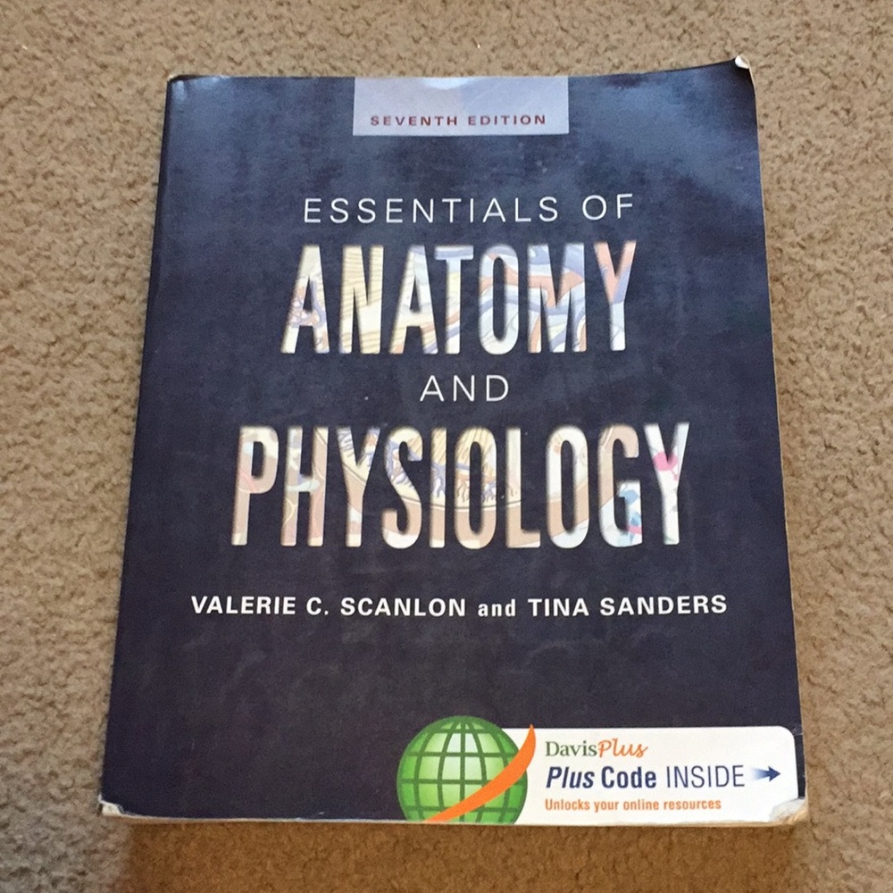 Anatomy and physiology